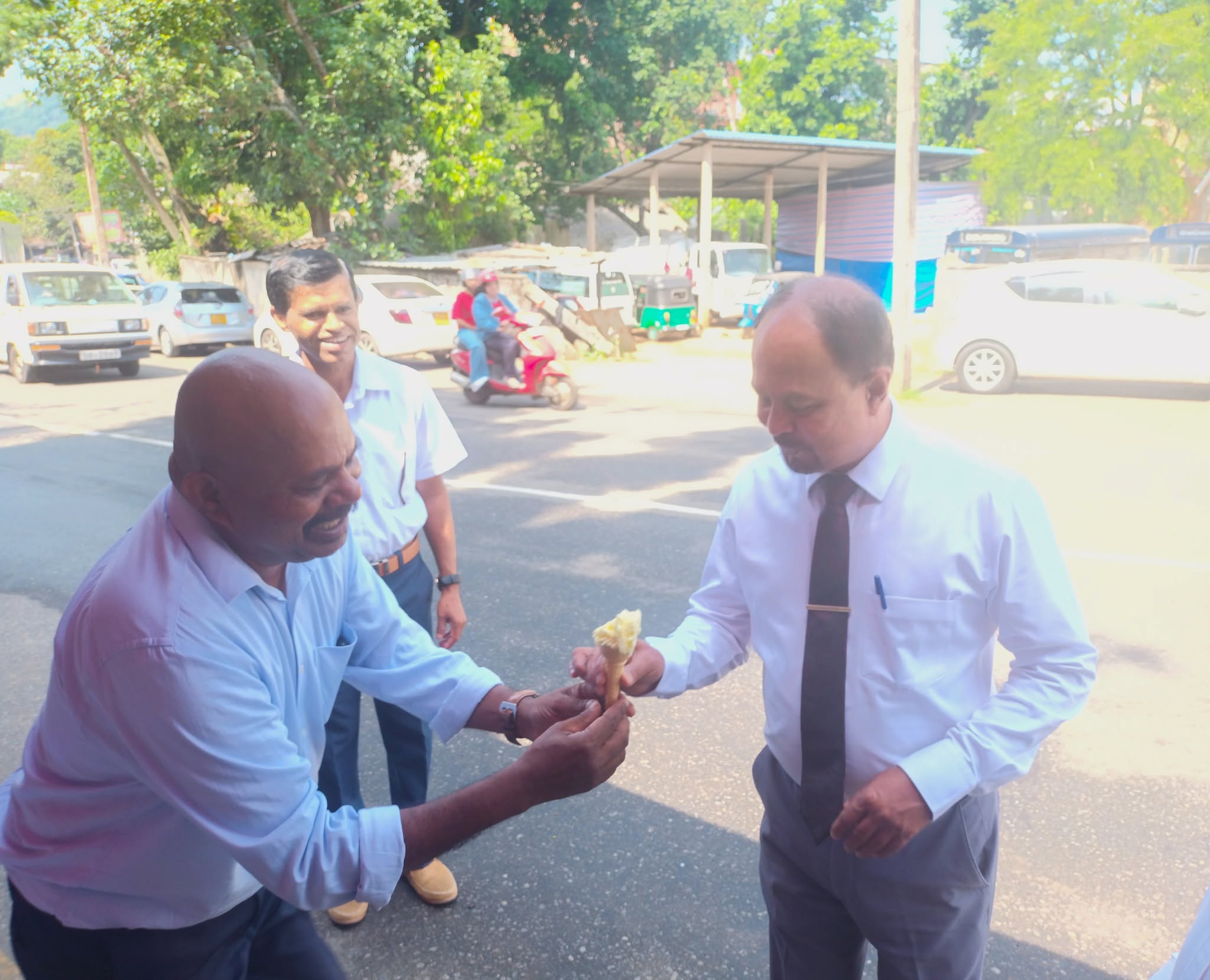 දන්සැල